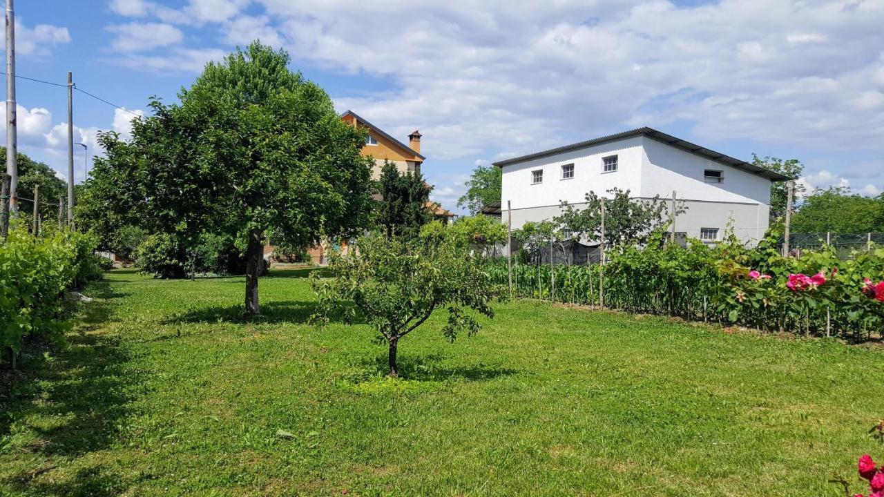 Da Vanilla Affittacamere Bonzicco Eksteriør bilde